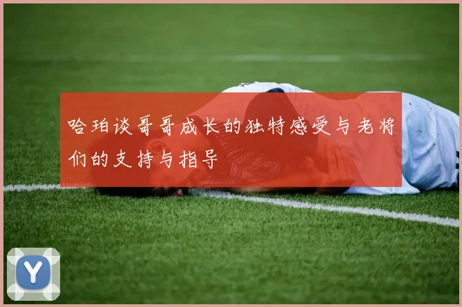 哈珀谈哥哥成长的独特感受与老将们的支持与指导